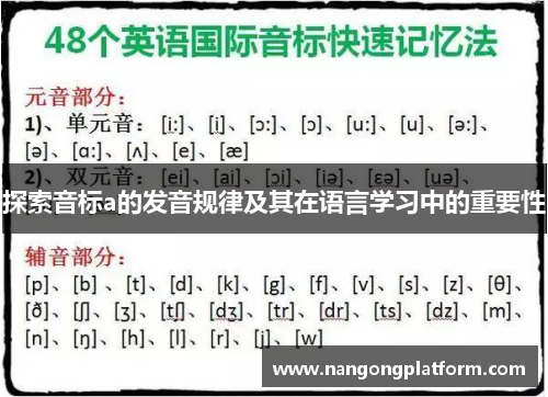 探索音标a的发音规律及其在语言学习中的重要性