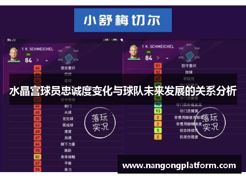 水晶宫球员忠诚度变化与球队未来发展的关系分析