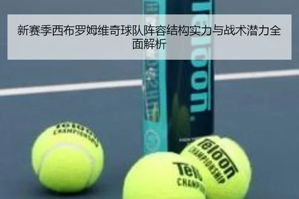 新赛季西布罗姆维奇球队阵容结构实力与战术潜力全面解析