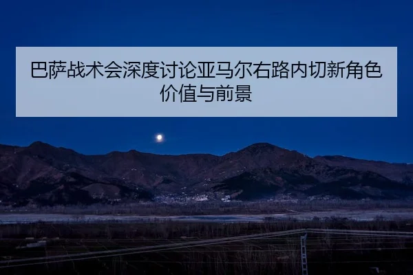ba-sa-zhan-shu-hui-shen-du-tao-lun-ya-ma-er-you-lu-nei-qie-xin-jue-se-jia-zhi-yu-qian-jing-2-683.jpg